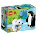 LEGO DUPLO - Zoo kamarádi 10501