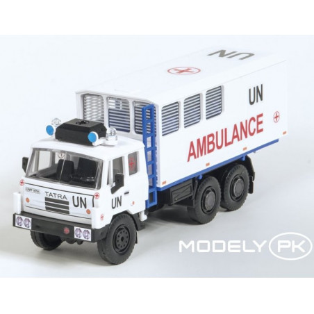 Monti System MS 1300 - Tatra UNPROFOR ambulance 1:48